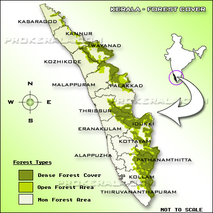 Forest map Kerala, Vegetations in Kerala, Forest area, Types of Forests in Kerala, Districtwise Forest in Kerala